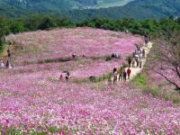 白木峰高原